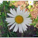 달서구노인종합복지관 이미지