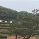 보성공설운동장 | [보성] 보성 여행 루틴 추천 / 마라톤부터 다향대축제까지 알차게 즐기기