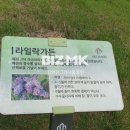 김앤김사무소 이미지