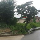 그루고개로 이미지