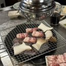 미금수뿔 이미지