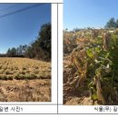 진양에너지 이미지