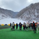 2024. 02. 25 코리아어질리티클럽 어질리티 승급전 후기 (점핑1)