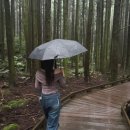 성산읍 고성리 337-1 성산보건지조 입구 | 2025 Summer Holiday in JEJU