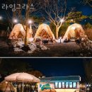 카페라임 이미지