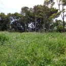 삼달교차로 1 이미지