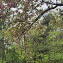 서광사 등산로 이미지