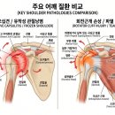 한결가뿐센터 네이버블로그