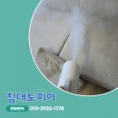 힐스테이트데시앙도남2단지경로당 | 대구소파클리닝 강아지 오줌으로 인한 냄새 제거 현장 후기