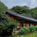 섬진강대나무숲길 이미지