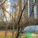 LG빌리지아파트 이미지