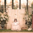 아모르데이 이미지