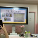 제철초등학교병설유치원 | 해운대 유치원 설명회 후기 1편(왕자와공주, 좌동초등학교병설유치원)