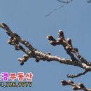보경부동산공인중개사사무소 이미지