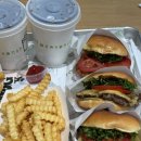 CU상남스타타워점 | [제주도 여행] 아시아나 비즈니스 타고 제주 다녀왔어요~ 좌석, 기내식, 라운지 등등 후기