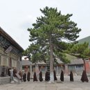 벽산사 이미지