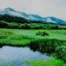 강변 이미지