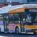 홍주여객 이미지