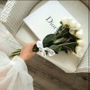 W.웨딩일기 스드메 고르기 ! 서울베리굿웨딩,인천토탈샾,차지연웨딩,브라이드온미 후기 🫧