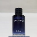 디올 그루밍 이미지