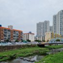 청실공인중개사사무소 이미지