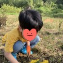 군산언어심리센터 이미지