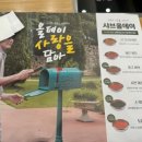 [솔직후기] 샤브올데이 망고 시즌 내돈내산 후기 | 생망고 무제한 망고올데이 (서울구파발점 디너 방문)
