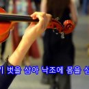 VIOLIN@MR@임진강반구정@작사 강정숙(초아강)@작곡 한동한@2024.06.15. 이미지