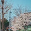 화도진공원(이동) 이미지