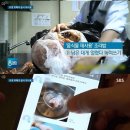 알뜰냉동 이미지