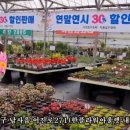 남사물향기야생화 이미지