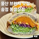 좋아해상점 | 울산 브런치 맛집 봉팔상점 북구 송정 카페 추천 단호박 바질모짜치즈샌드위치 후기