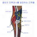 엉덩이를 씰룩씰룩 이미지