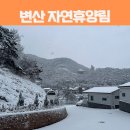 고흥숲속의바다 | 국내 여행 전북 변산 자연휴양림 숲속의집 바다향기3 예약 방법, 꿀팁, 후기 총정리!