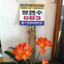 기원주 이미지