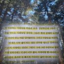 트라이브즈 책 | 세스고딘 책 후기 | 도망갈 필요가 없는 삶을 구축하는 법 추천 리뷰 핵심 요약