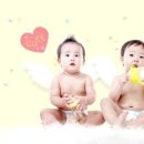 베이비쿠 이미지