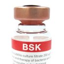 비에스케이 이미지