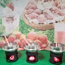 은어송유치원 이미지