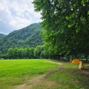 농협산척 | 무료 노지라는 게 믿기지 않는 충주 삼탄유원지 캠핑 장소
