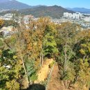 고성산 조망 이미지