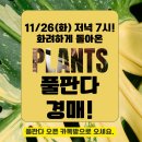 플랜츠플로라 네이버블로그