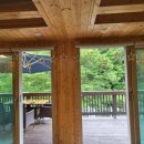 숲속의 돌담 이미지