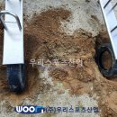 만수초등학교 이미지
