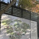 서우빌리지 | 11월 화담숲 단풍, 모노레일타고 번지없는주막에서 파전먹기 w.31개월 아기랑 함께