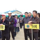 거여초등학교 이미지