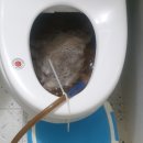 클린쉐프 이미지