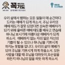 콩깍지