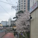 초안산도자기체험장 이미지