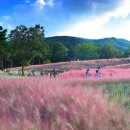 가산수피아 이미지